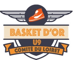 Résultats de la Finale Départementale BASKET D'OR 2026